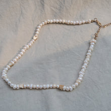 Load image into Gallery viewer, Kuma Choker Necklace