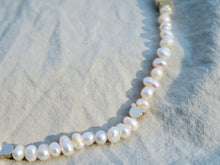Load image into Gallery viewer, Kuma Choker Necklace