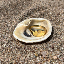 Load image into Gallery viewer, Have a Nice Day Ring